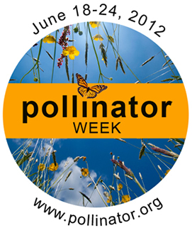 National Pollinator Week at Tryon Farm Institute