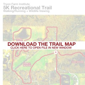 tfi-5ktrail-2016-sq2