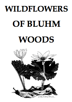 Screen shot 2017-04-19 at 10.10.38 PM